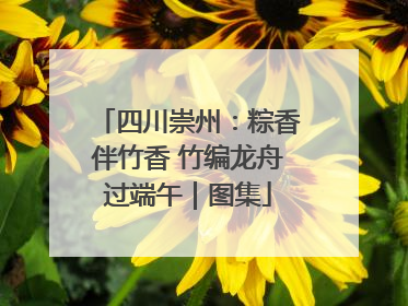 四川崇州：粽香伴竹香 竹编龙舟过端午｜图集