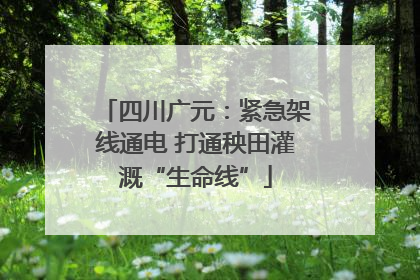 四川广元：紧急架线通电 打通秧田灌溉“生命线”