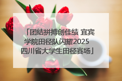 团结拼搏创佳绩 宜宾学院田径队闪耀2025四川省大学生田径赛场