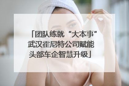 团队练就“大本事” 武汉霍尼特公司赋能头部车企智慧升级