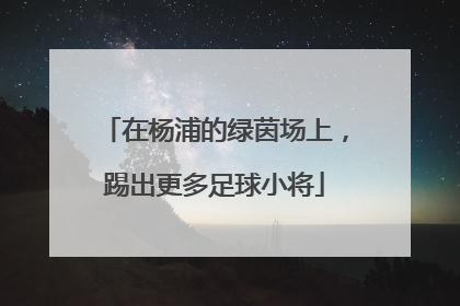 在杨浦的绿茵场上，踢出更多足球小将
