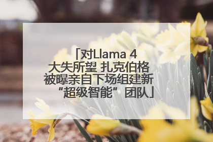 对Llama 4大失所望 扎克伯格被曝亲自下场组建新“超级智能”团队