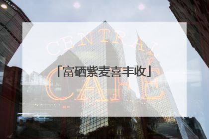 富硒紫麦喜丰收