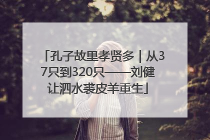 孔子故里孝贤多｜从37只到320只——刘健让泗水裘皮羊重生