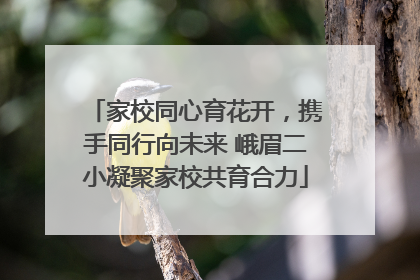 家校同心育花开，携手同行向未来 峨眉二小凝聚家校共育合力