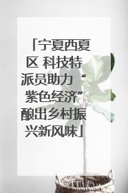 宁夏西夏区 科技特派员助力“紫色经济”酿出乡村振兴新风味
