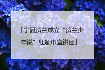 宁夏贺兰成立“贺兰少年说”红领巾宣讲团