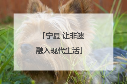 宁夏 让非遗融入现代生活