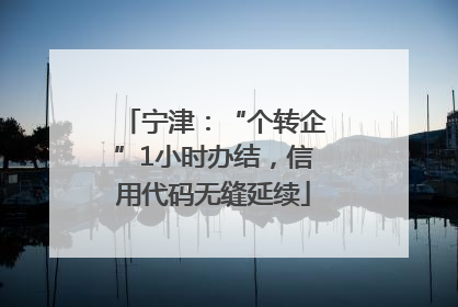 宁津：“个转企”1小时办结，信用代码无缝延续