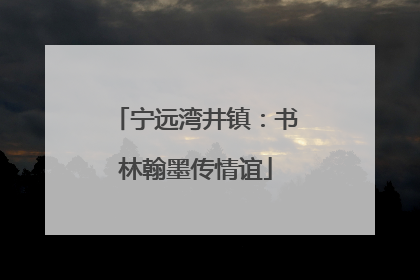宁远湾井镇：书林翰墨传情谊