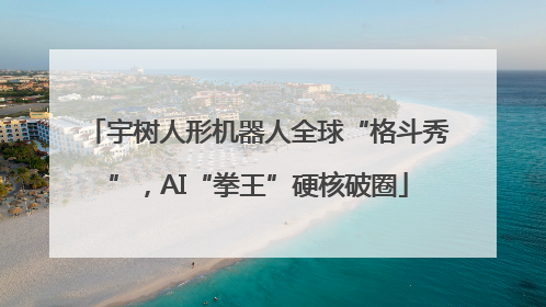 宇树人形机器人全球“格斗秀”，AI“拳王”硬核破圈