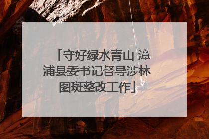 守好绿水青山 漳浦县委书记督导涉林图斑整改工作