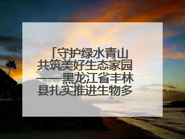守护绿水青山 共筑美好生态家园——黑龙江省丰林县扎实推进生物多样性保护工作