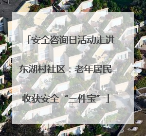 安全咨询日活动走进东湖村社区：老年居民收获安全“三件宝”