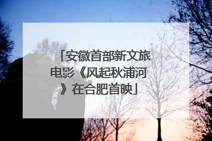 安徽首部新文旅电影《风起秋浦河》在合肥首映