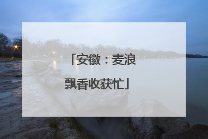 安徽：麦浪飘香收获忙