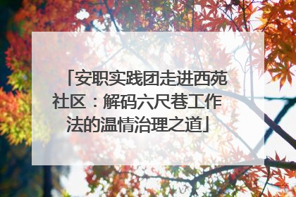 安职实践团走进西苑社区：解码六尺巷工作法的温情治理之道