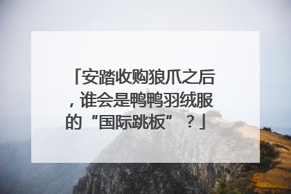 安踏收购狼爪之后，谁会是鸭鸭羽绒服的“国际跳板”？