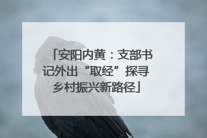 安阳内黄：支部书记外出“取经”探寻乡村振兴新路径