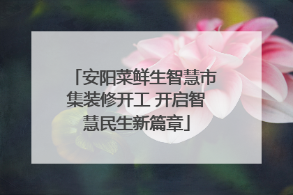 安阳菜鲜生智慧市集装修开工 开启智慧民生新篇章
