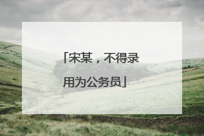 宋某，不得录用为公务员