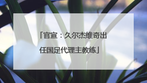 官宣：久尔杰维奇出任国足代理主教练