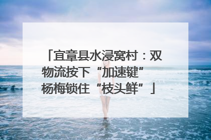 宜章县水浸窝村：双物流按下“加速键” 杨梅锁住“枝头鲜”