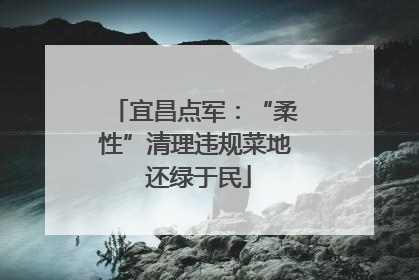 宜昌点军：“柔性”清理违规菜地 还绿于民