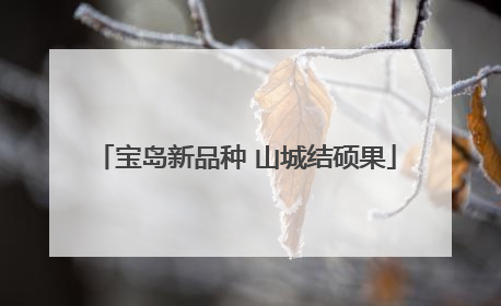 宝岛新品种 山城结硕果