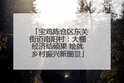 宝鸡陈仓区东关街道南阳村：大棚经济结硕果 绘就乡村振兴新图景