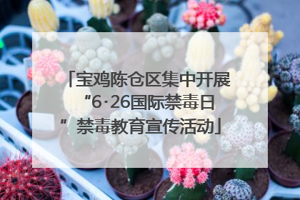 宝鸡陈仓区集中开展“6･26国际禁毒日”禁毒教育宣传活动