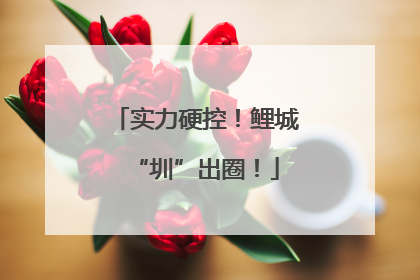 实力硬控！鲤城“圳”出圈！