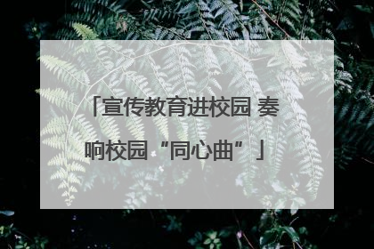 宣传教育进校园 奏响校园“同心曲”