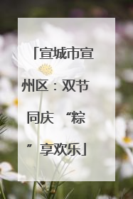 宣城市宣州区：双节同庆 “粽”享欢乐