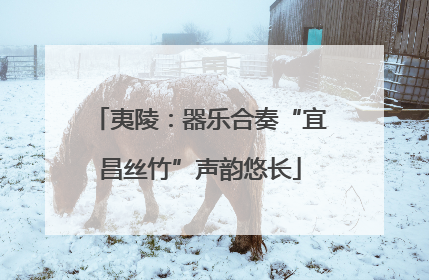 夷陵：器乐合奏“宜昌丝竹”声韵悠长
