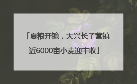 夏粮开镰，大兴长子营镇近6000亩小麦迎丰收