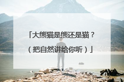 大熊猫是熊还是猫？（把自然讲给你听）