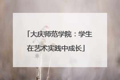大庆师范学院：学生在艺术实践中成长