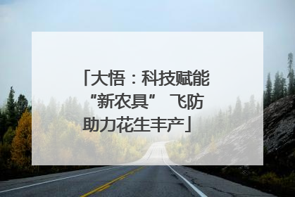 大悟：科技赋能“新农具” 飞防助力花生丰产