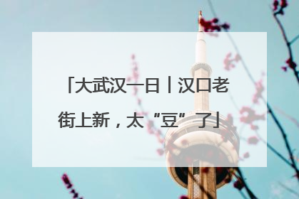 大武汉一日︱汉口老街上新，太“豆”了