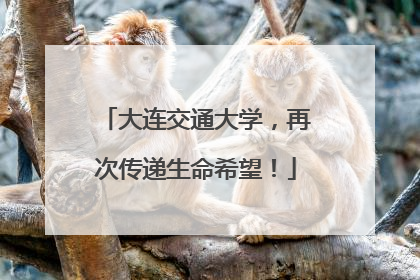 大连交通大学，再次传递生命希望！