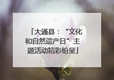 大通县：“文化和自然遗产日”主题活动精彩纷呈
