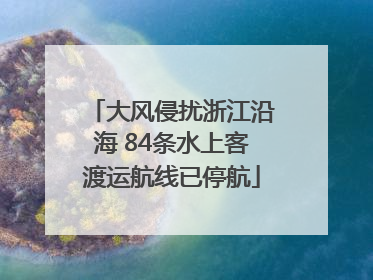 大风侵扰浙江沿海 84条水上客渡运航线已停航