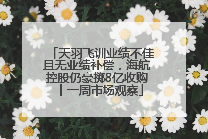 天羽飞训业绩不佳且无业绩补偿，海航控股仍豪掷8亿收购丨一周市场观察