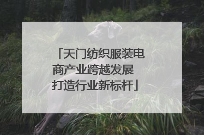 天门纺织服装电商产业跨越发展 打造行业新标杆