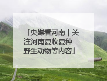 央媒看河南｜关注河南夏收夏种 野生动物等内容