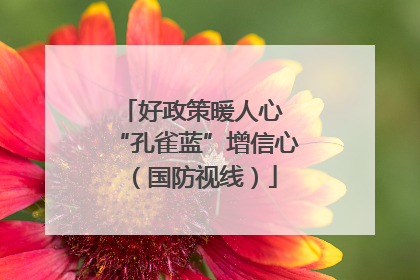 好政策暖人心 “孔雀蓝”增信心（国防视线）