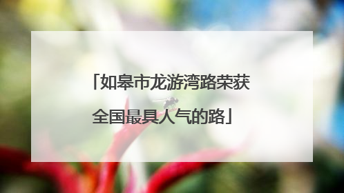 如皋市龙游湾路荣获全国最具人气的路