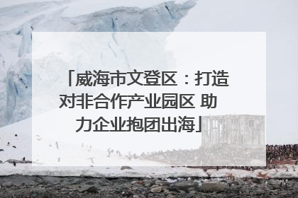 威海市文登区：打造对非合作产业园区 助力企业抱团出海