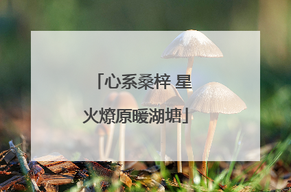 心系桑梓 星火燎原暖湖塘